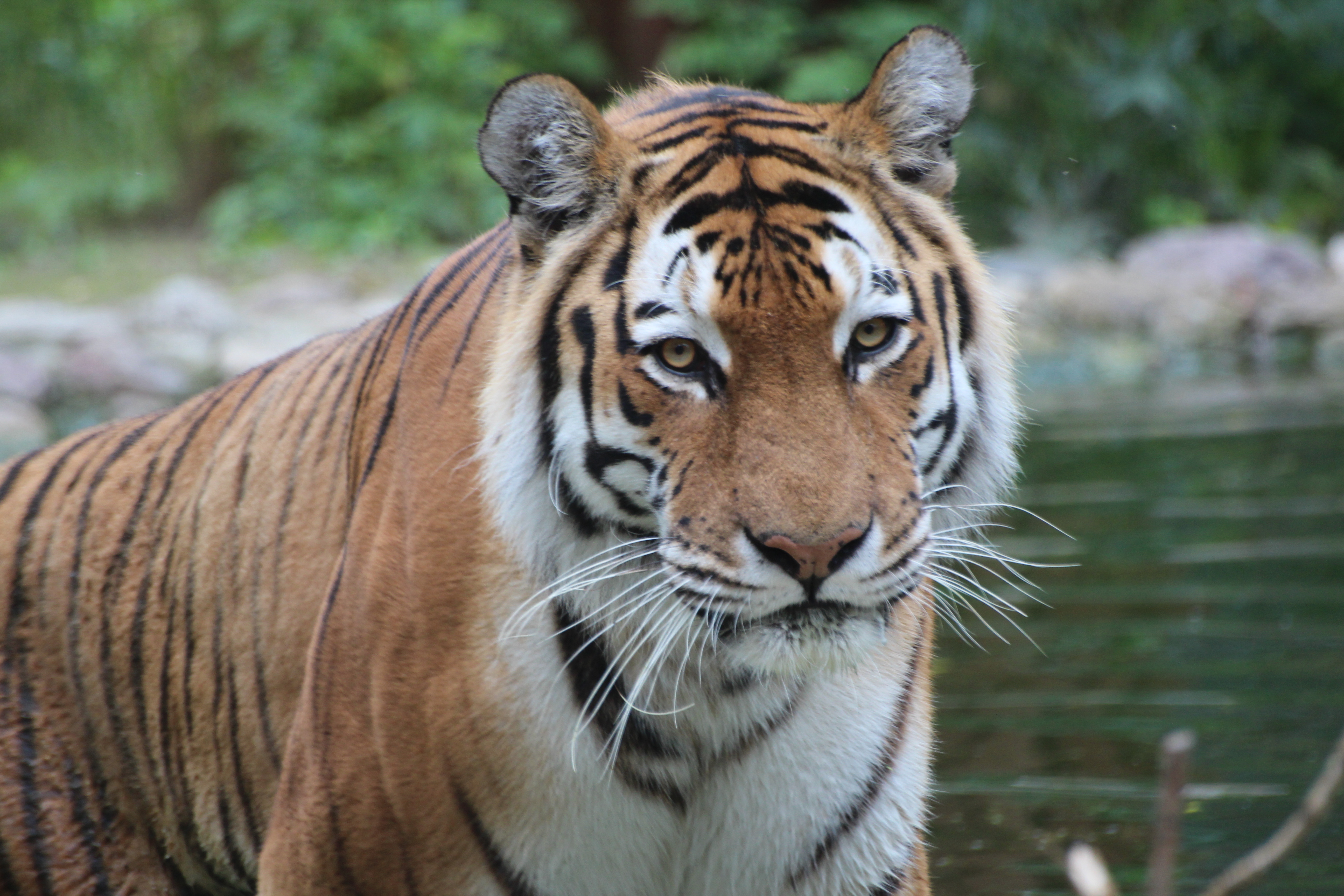 Ogród Zoologiczny w Bydgoszczy - Więcej