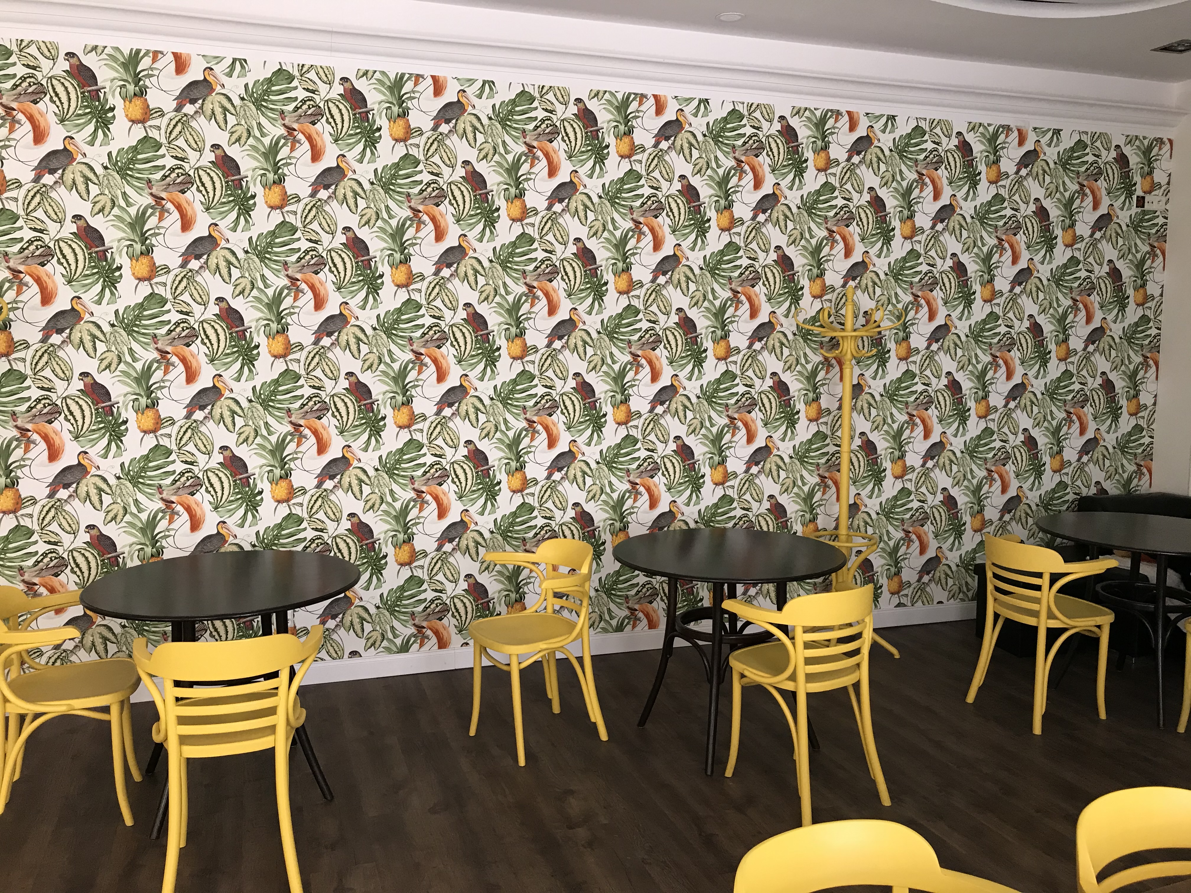 Bistro Pod Papugami - Więcej